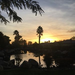 Meet your Posher, Lilyrose